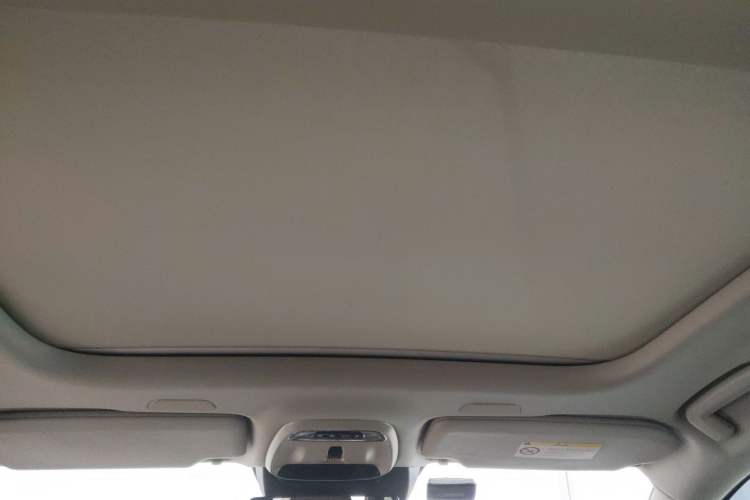 Used Volvo S90 2020 T5 Zhiyi Luxury Edition Headliner