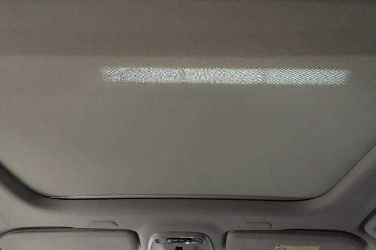 Used Volvo S90 2020 T5 Zhiyi Luxury Edition Headliner