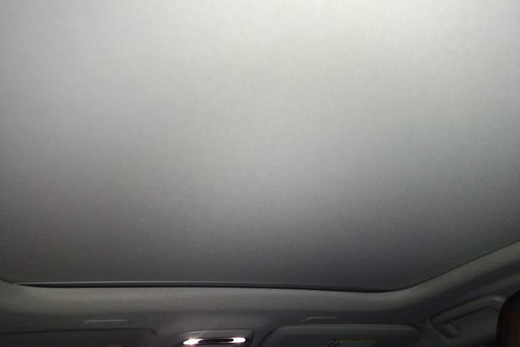 Used Volvo S90 2020 T5 Zhiyi Luxury Edition Headliner