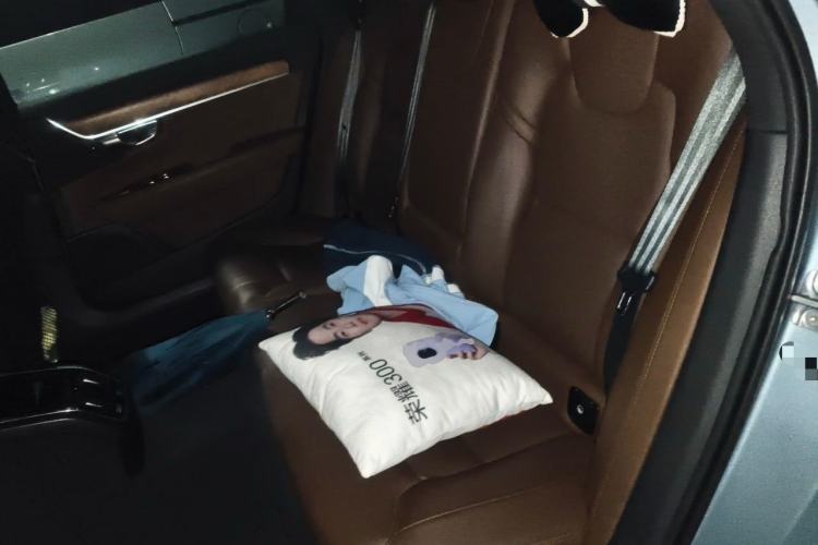 Used Volvo S90 2020 T5 Zhiyi Luxury Edition Left Rear Seat