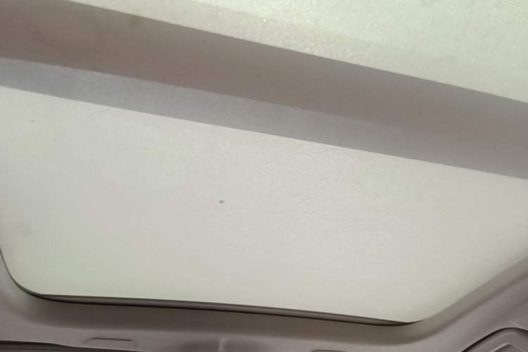 Used Volvo S90 2020 T5 Zhiyi Luxury Edition Headliner