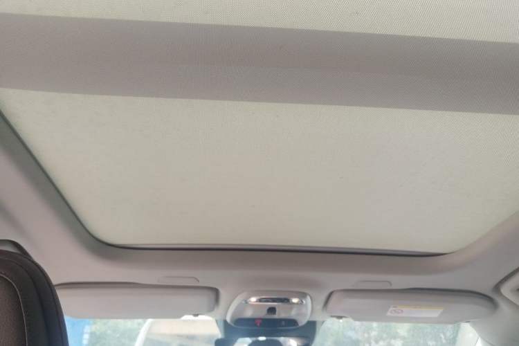 Used Volvo S90 2020 T5 Zhiyi Luxury Edition Headliner