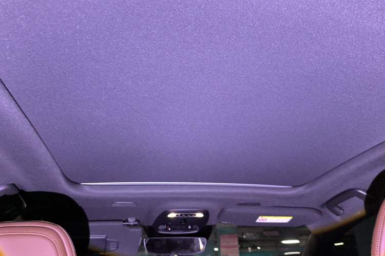 Used Volvo S90 2021 B5 Zhiyi Luxury Edition Headliner