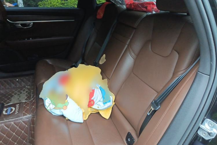 Used Volvo S90 2021 B5 Zhiyuan Luxury Edition Left Rear Seat