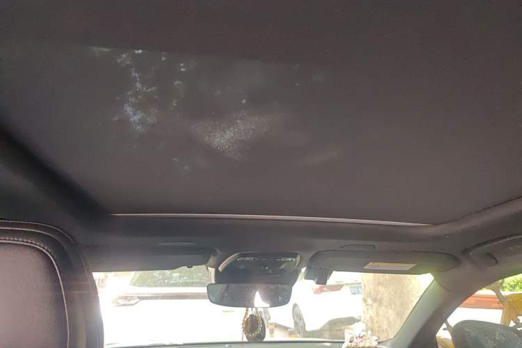Used Volvo S90 2021 B5 Zhiyi Sport Edition Headliner