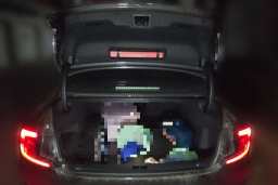 Thumbnail 20