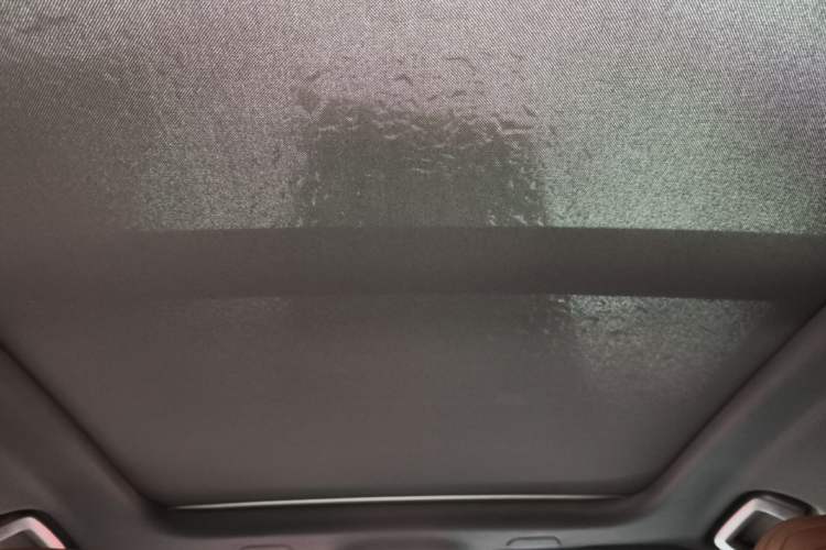 Used Volvo S90 2022 B5 Zhiyuan Luxury Edition Headliner