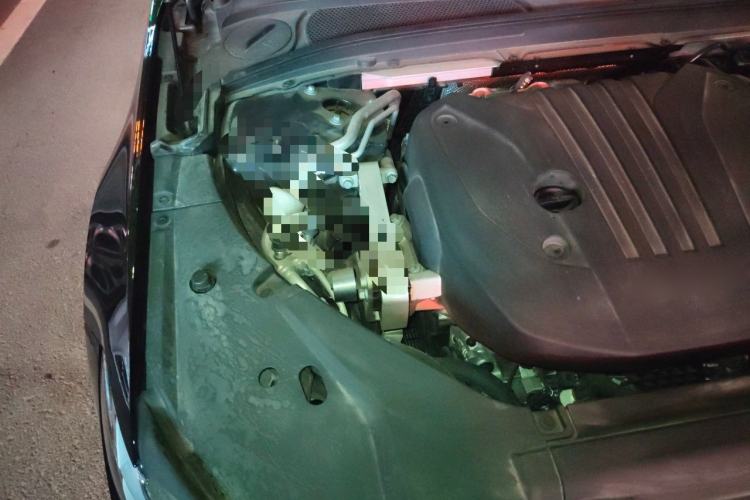 Used Volvo S90 2025 B5 Zhiyuan Luxury Edition Engine Bay Right
