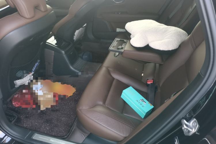 Used Volvo S90 New Energy 2022 Restyled T8 E-Drive Hybrid Zhiyi Luxury Edition Left Rear Seat