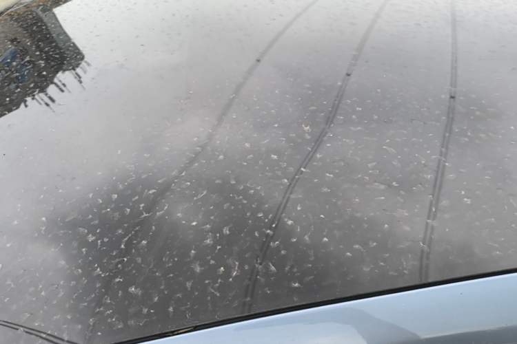 Used Volvo V40 2018 T3 Zhiyi Edition Roof