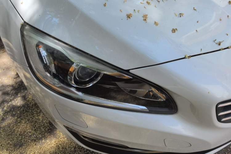 Used Volvo V60 2015 T5 Zhiya Edition Right Front Headlight