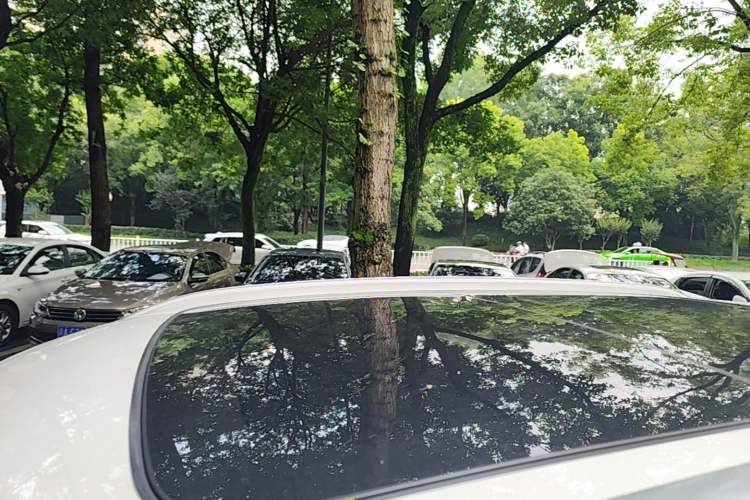Used Volvo XC40 2020 T3 Zhiyuan Luxury Edition Roof
