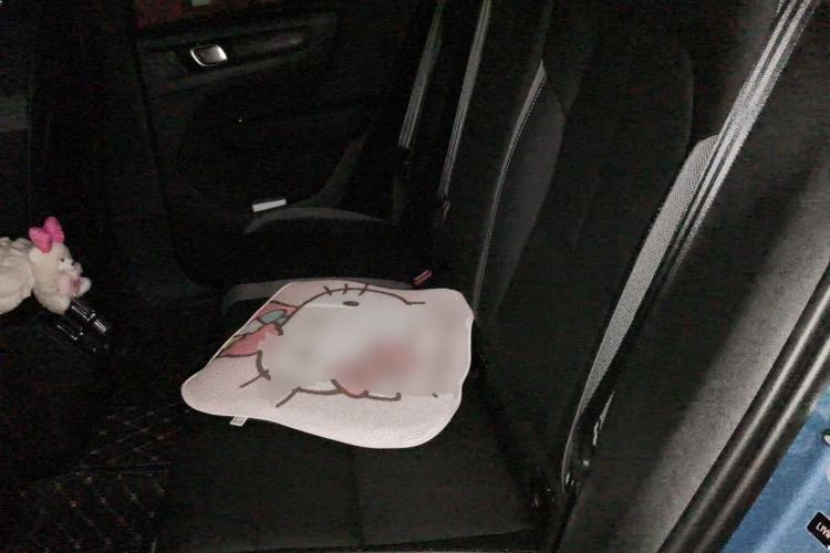 Used Volvo XC40 2023 B3 Zhiyuan Sport Edition Left Rear Seat