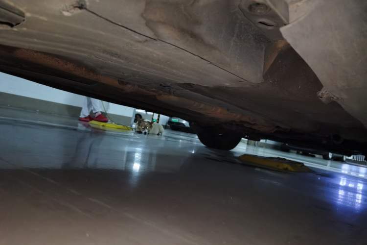 Used Volvo XC60 2010 T6 AWD Zhiya Edition Chassis Rear Right