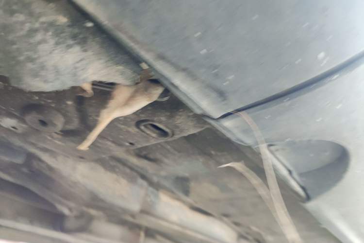Used Volvo XC60 2012 T5 Comfort Edition Chassis Front Left