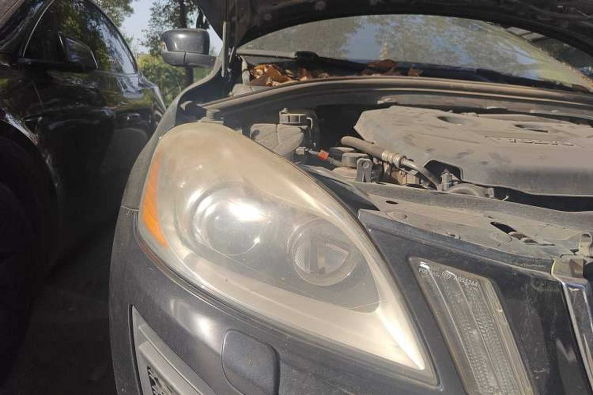 Used Volvo XC60 2013 T5 Zhiya Edition Right Front Headlight