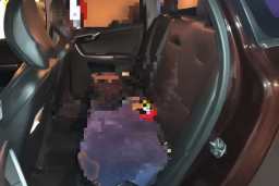 Thumbnail 18