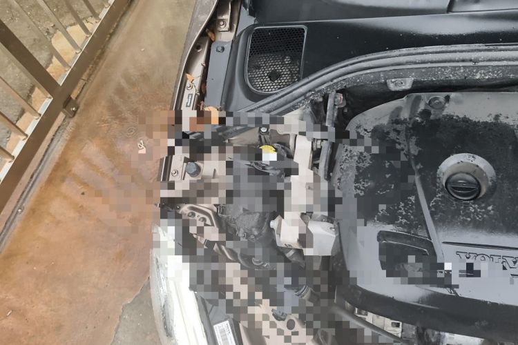 Used Volvo XC60 2017 T5 AWD Smart Upgrade Edition Engine Bay Right