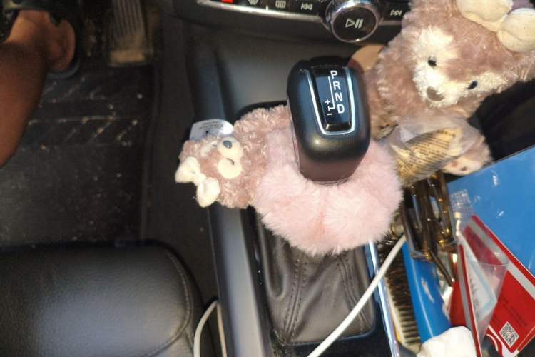 Used Volvo XC60 2019 T5 4x4 Smart Edition China V Standard Gear Lever