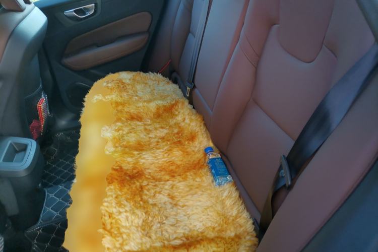 Used Volvo XC60 2025 B5 4x4 Smart Luxury Edition Left Rear Seat