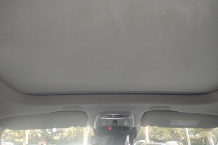 Used Volvo XC60 New Energy 2020 T8 eDrive Hybrid Luxury Edition Headliner