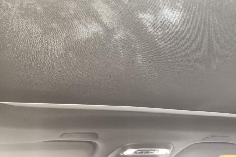 Used Volvo XC60 New Energy 2021 T8 e-Drive Hybrid Luxury Edition Headliner