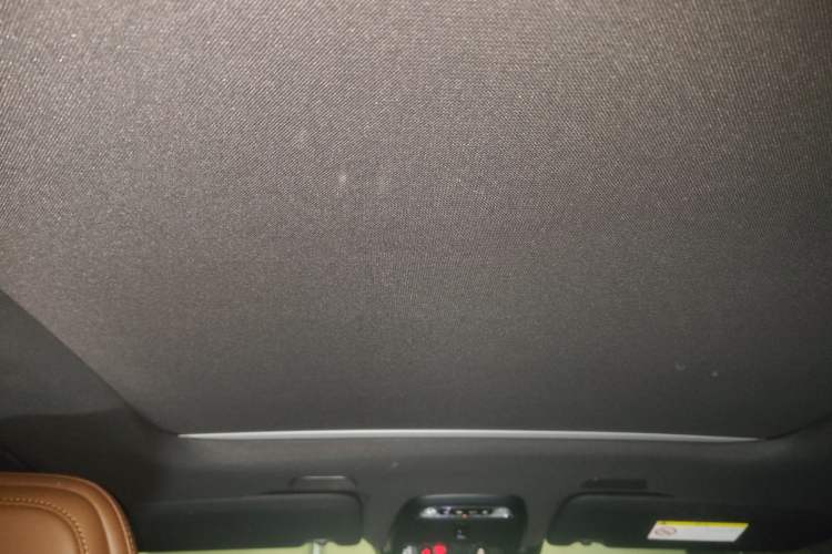 Used Volvo XC60 New Energy 2021 T8 e-Drive Hybrid Luxury Edition Headliner