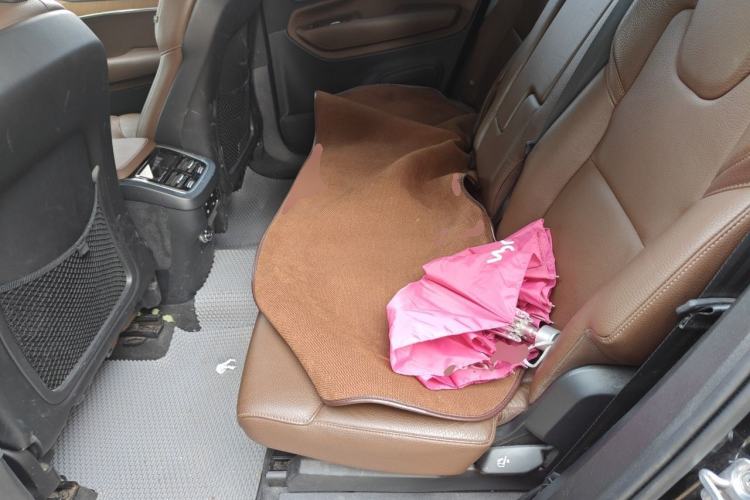 Used Volvo XC90 2020 T6 Zhiyi Luxury 7-Seater Left Rear Seat