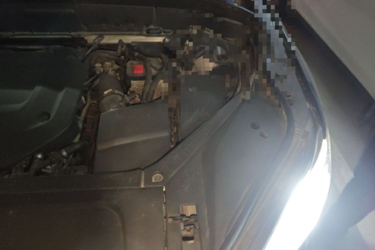 Used Volvo XC90 2021 B6 Zhiyi Luxury Edition 7-Seater Engine Bay Left