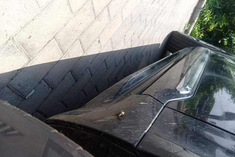 Used Volvo XC90 2024 B6 Zhiyi Luxury 7-Seater Right Side Sill