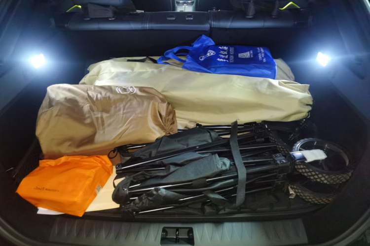 Used VOYAH COURAGE 2024 Long-Range Smart Edition Trunk