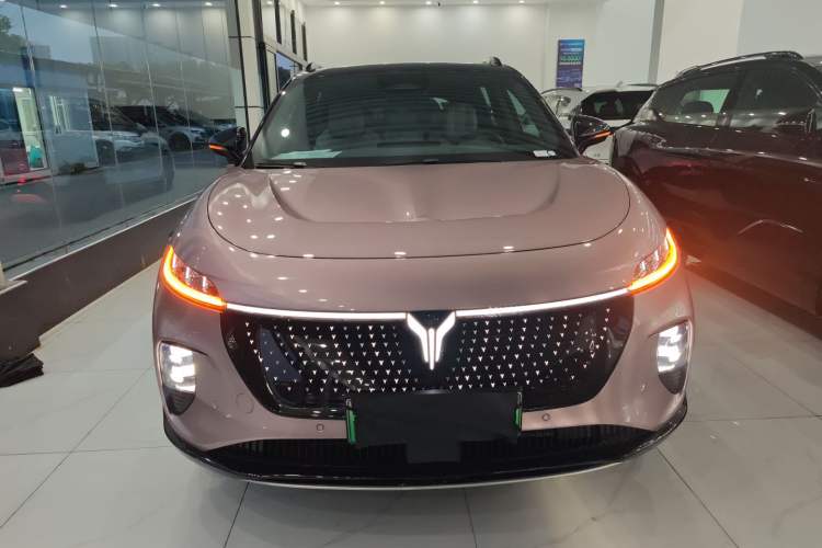 Used VOYAH COURAGE 2024 Four-Wheel Drive Global Edition Front