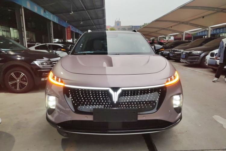 Used VOYAH COURAGE 2024 Four-Wheel Drive Global Edition Front