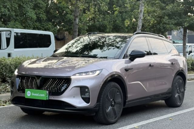 VOYAH COURAGE 2024 Four-Wheel Drive Global Edition usado