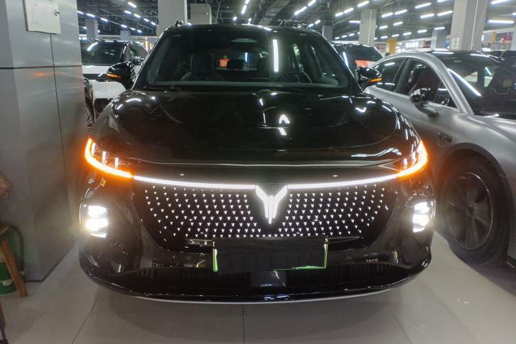Used VOYAH COURAGE 2024 Four-Wheel Drive Global Edition Exterior 1