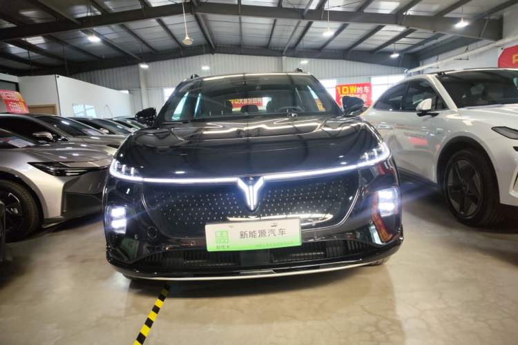Used VOYAH COURAGE 2024 Four-Wheel Drive Global Edition Exterior 1