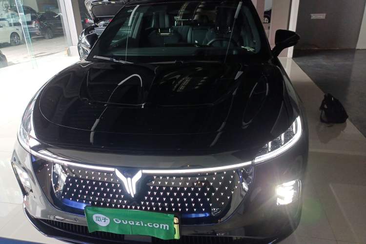 Used VOYAH COURAGE 2024 Four-Wheel Drive Global Edition Exterior 1