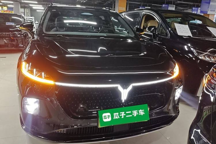 Used VOYAH COURAGE 2024 Four-Wheel Drive Global Edition Exterior 1