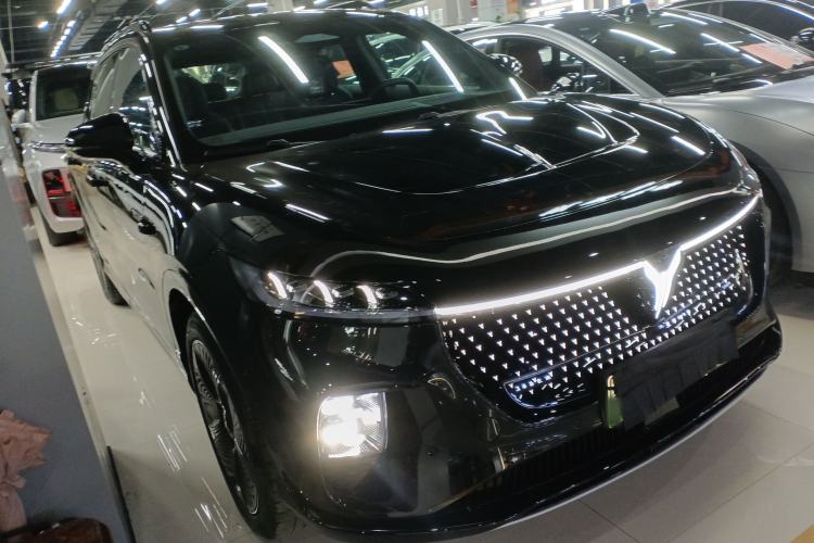 Used VOYAH COURAGE 2024 Four-Wheel Drive Global Edition Exterior 2