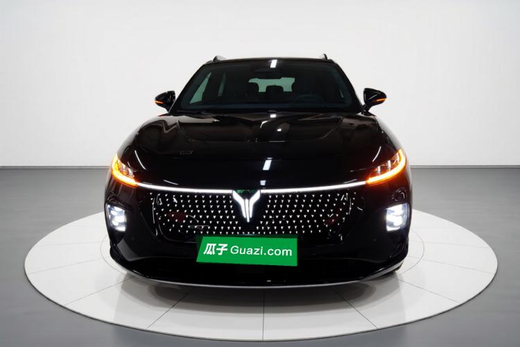 Used VOYAH COURAGE 2024 Four-Wheel Drive Global Edition Front