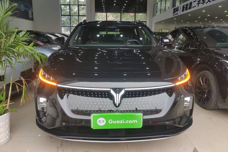 Used VOYAH COURAGE 2024 Four-Wheel Drive Global Edition Front