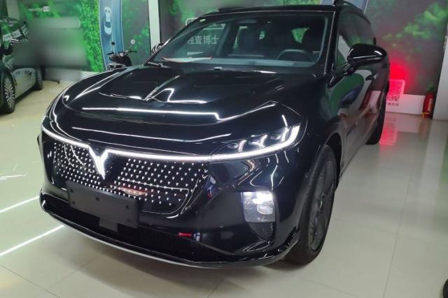 Used VOYAH COURAGE 2024 Four-Wheel Drive Global Edition