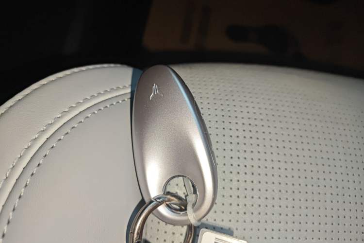 Used VOYAH COURAGE 2024 Long-Range Supercharge Edition Interior 1