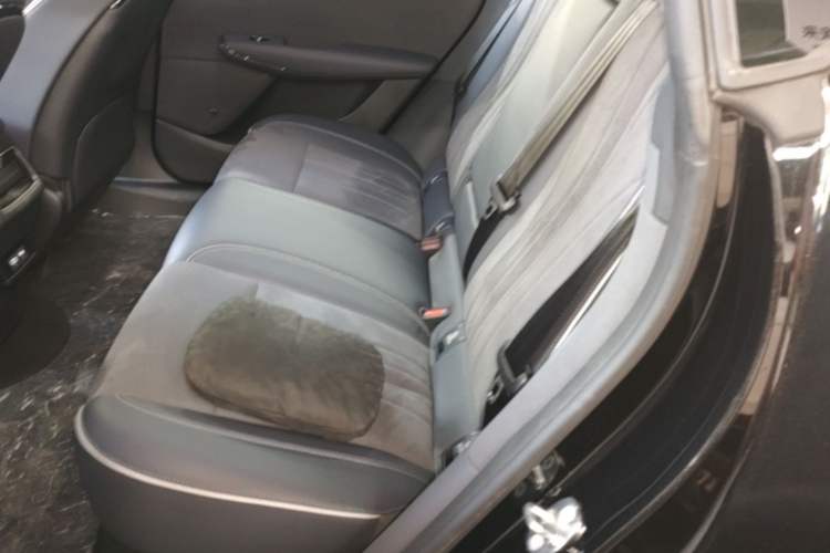 Used VOYAH COURAGE 2024 Long-Range Supercharge Edition Left Rear Seat