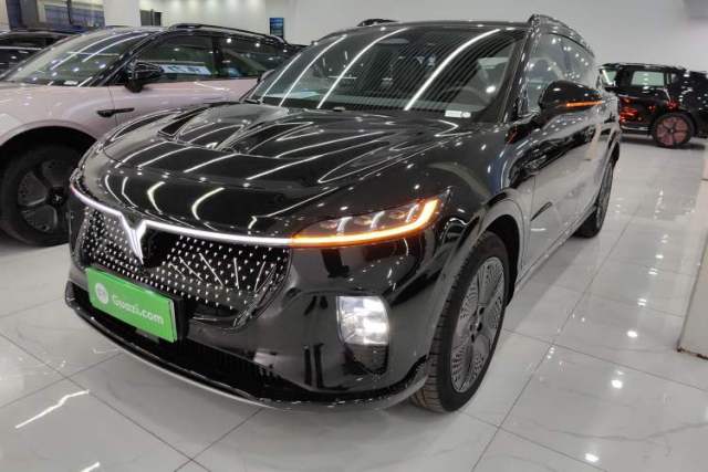 Used VOYAH COURAGE 2024 Four-Wheel Drive Global Edition