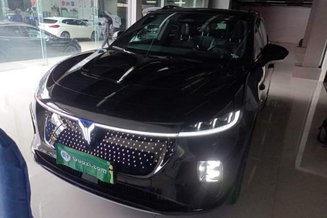 Used VOYAH COURAGE 2024 Four-Wheel Drive Global Edition