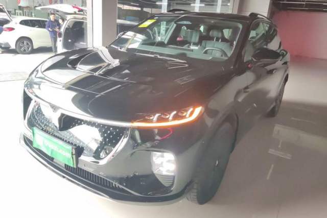 Used VOYAH COURAGE 2024 Four-Wheel Drive Global Edition