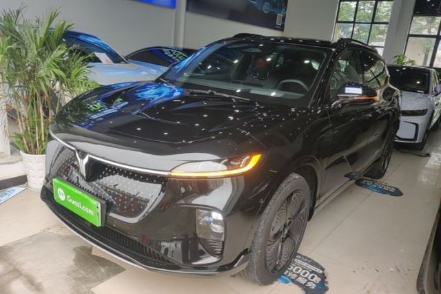 Used VOYAH COURAGE 2024 Four-Wheel Drive Global Edition