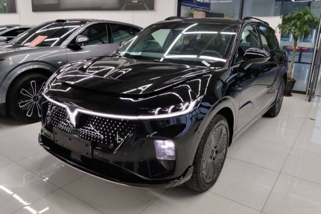Used VOYAH COURAGE 2024 Four-Wheel Drive Global Edition