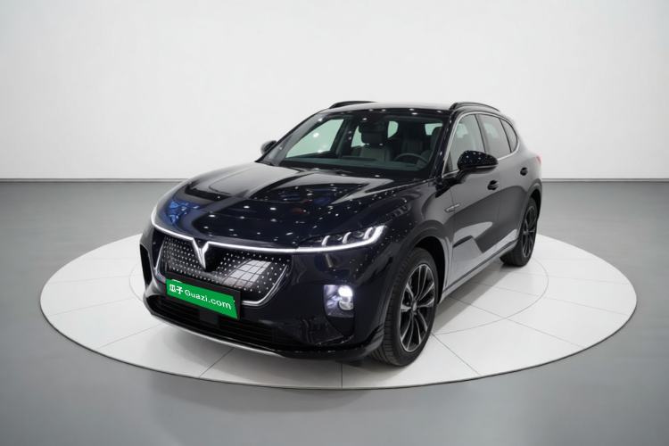 VOYAH COURAGE 2024 Four-Wheel Drive Global Edition